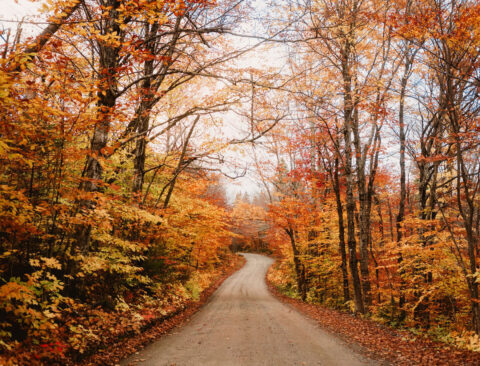 Peak Fall Weekends (and What to Pack in Your Beauty Bag)