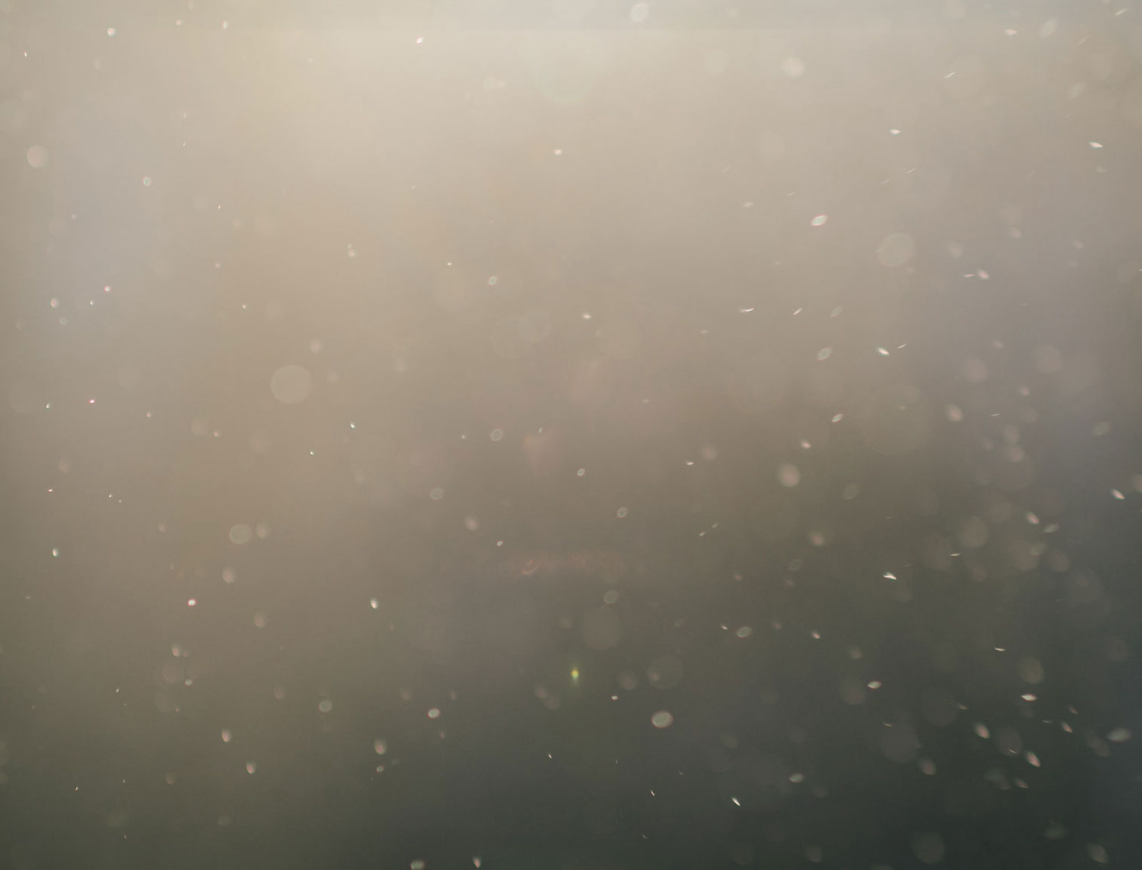 Do AtHome Mold Testing Kits Really Work? goop