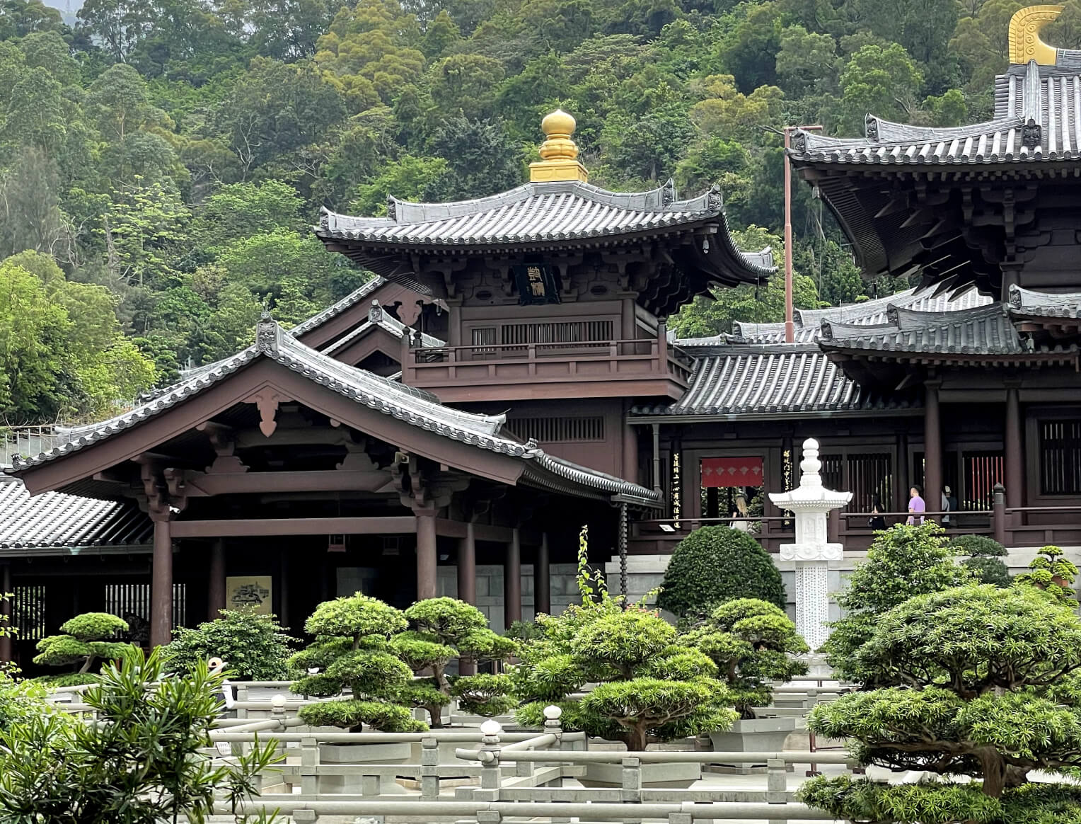 Nan Lian Garden adjacent to Hong Kong Chi Lin Nunnery